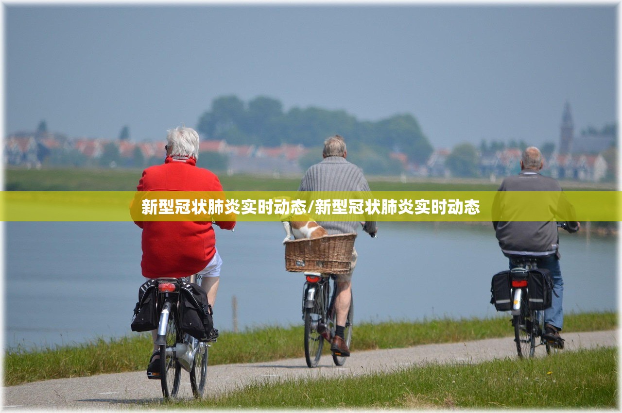 新型冠状肺炎实时动态/新型冠状肺炎实时动态