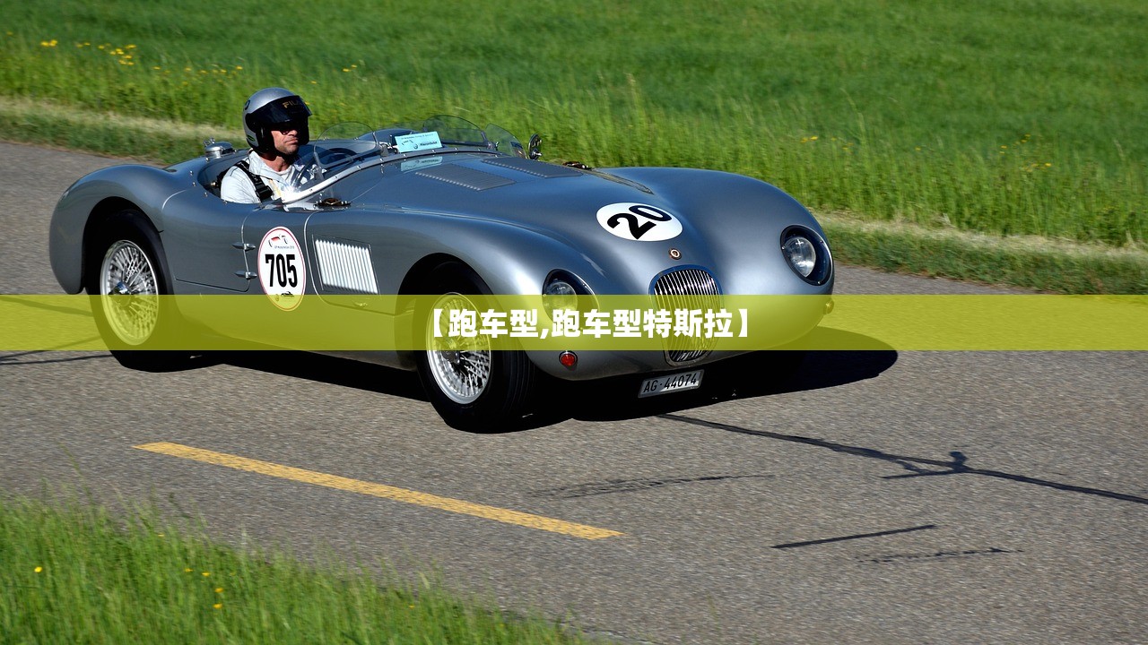 【跑车型,跑车型特斯拉】