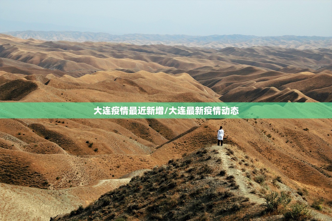 大连疫情最近新增/大连最新疫情动态