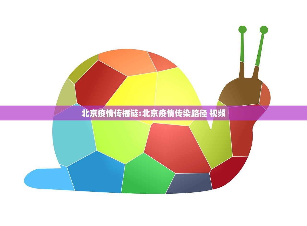 北京疫情传播链:北京疫情传染路径 视频
