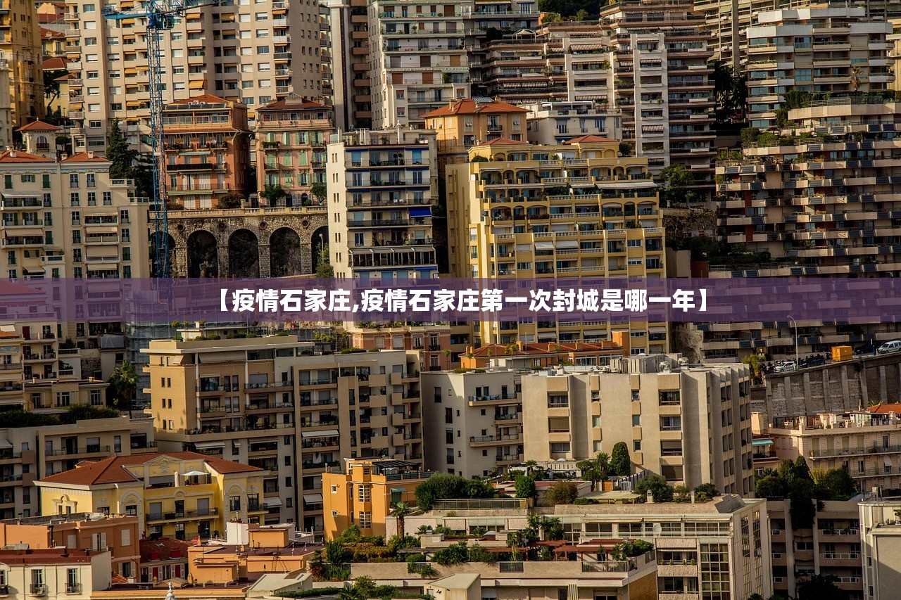 【疫情石家庄,疫情石家庄第一次封城是哪一年】