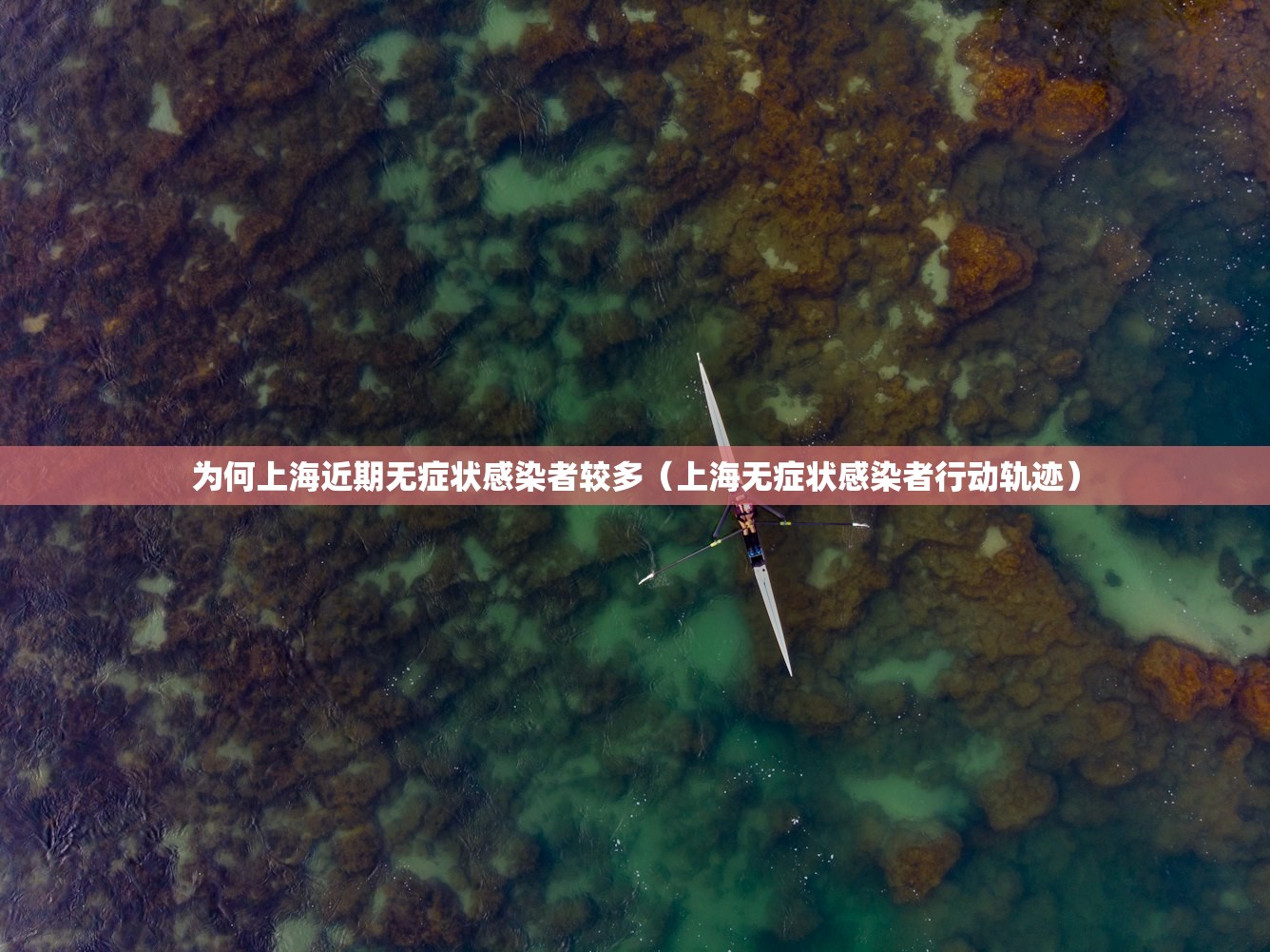 为何上海近期无症状感染者较多（上海无症状感染者行动轨迹）
