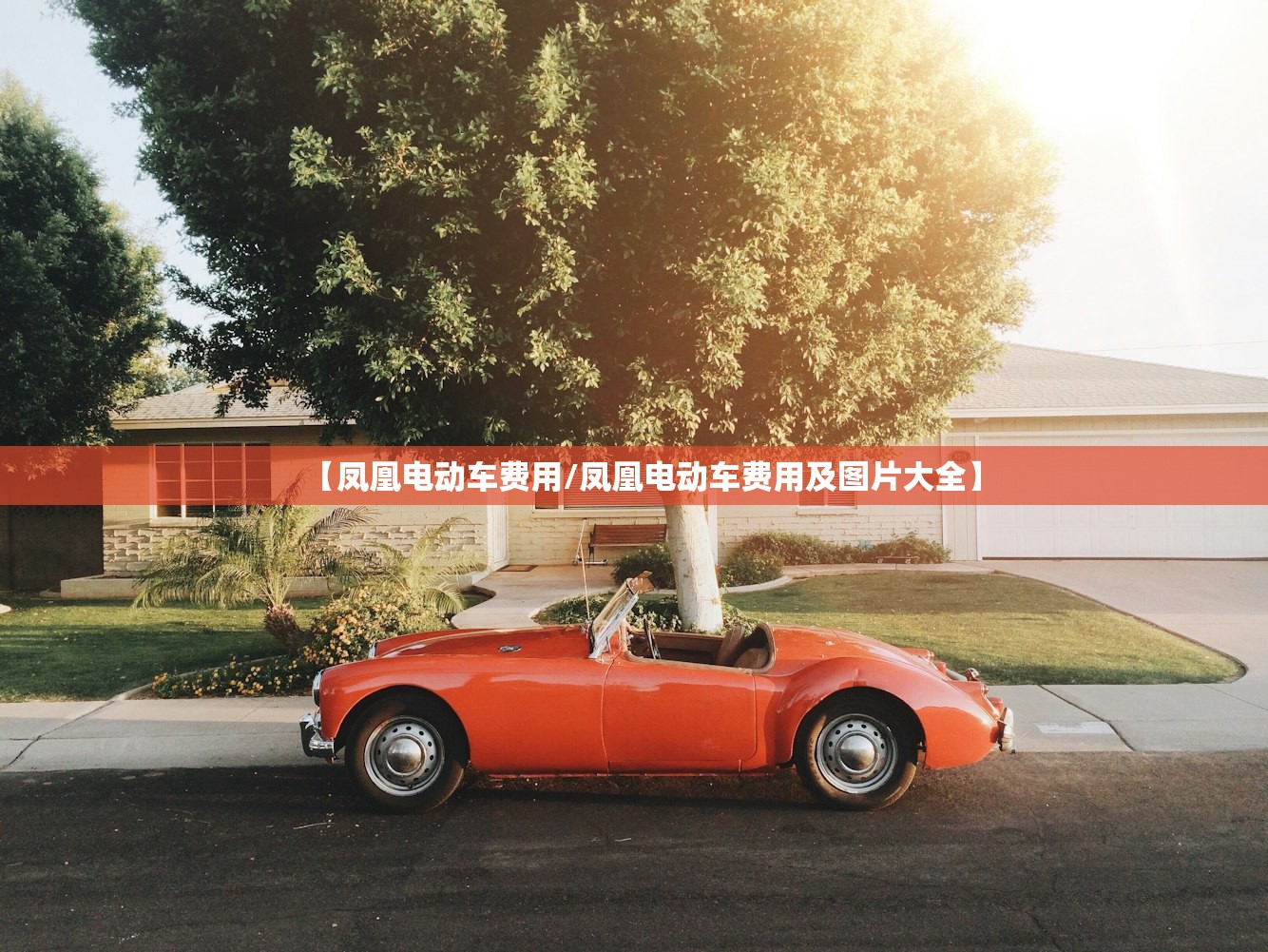 【凤凰电动车费用/凤凰电动车费用及图片大全】