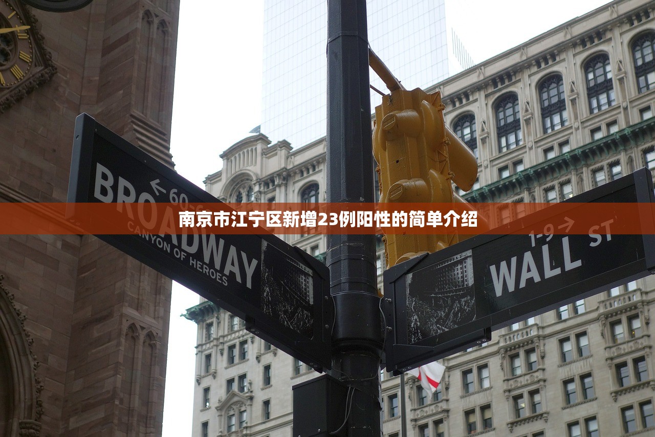 南京市江宁区新增23例阳性的简单介绍