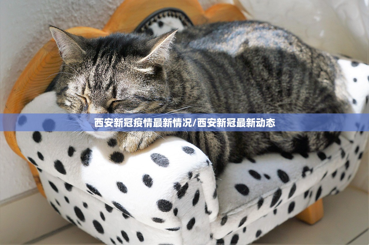 西安新冠疫情最新情况/西安新冠最新动态
