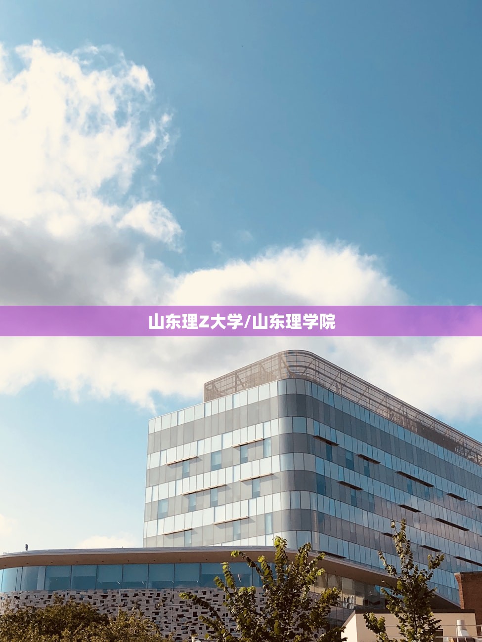 山东理Z大学/山东理学院