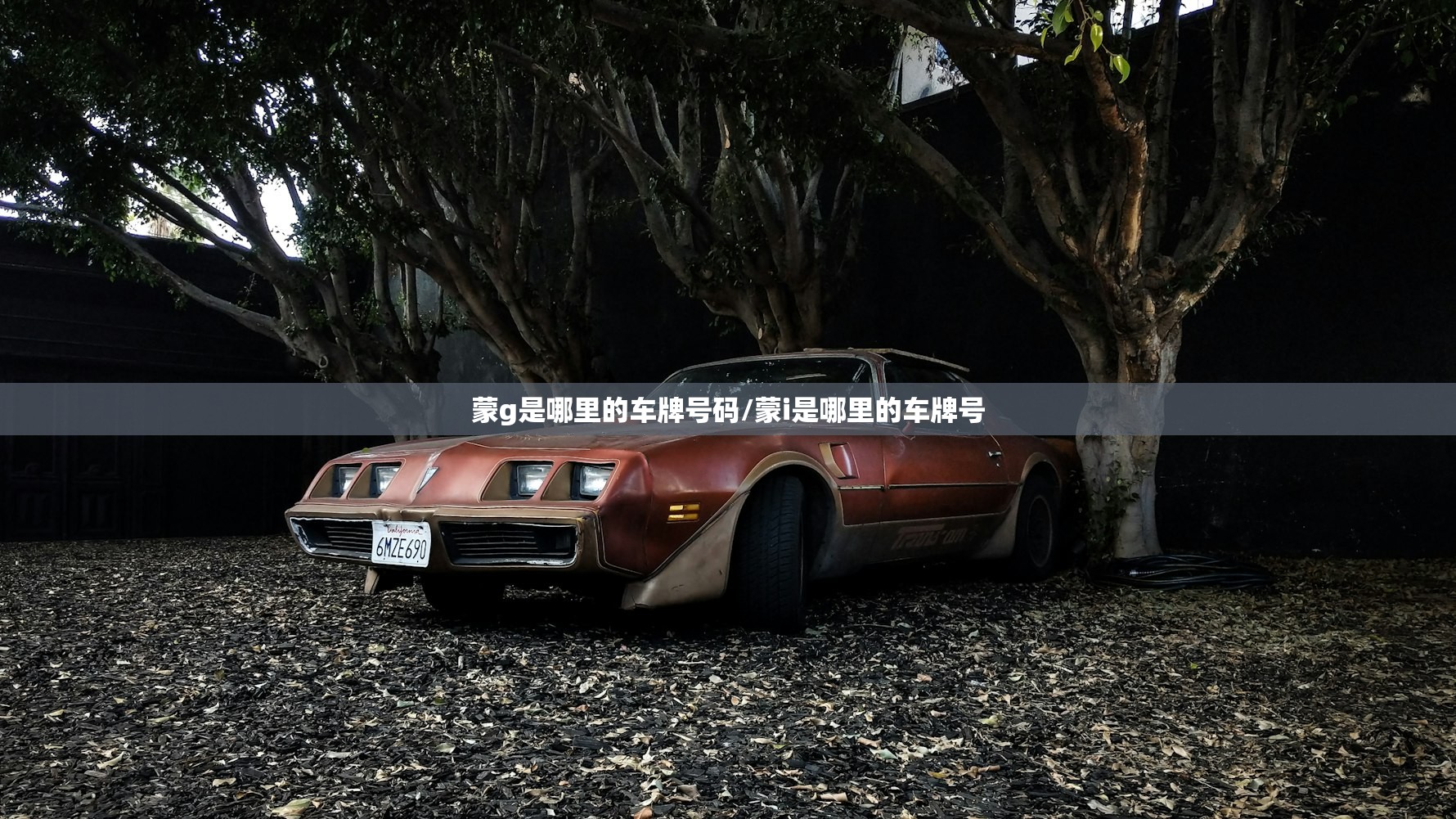 一键必胜“微乐湖北麻将可以开挂吗”开挂(透视)辅助神器