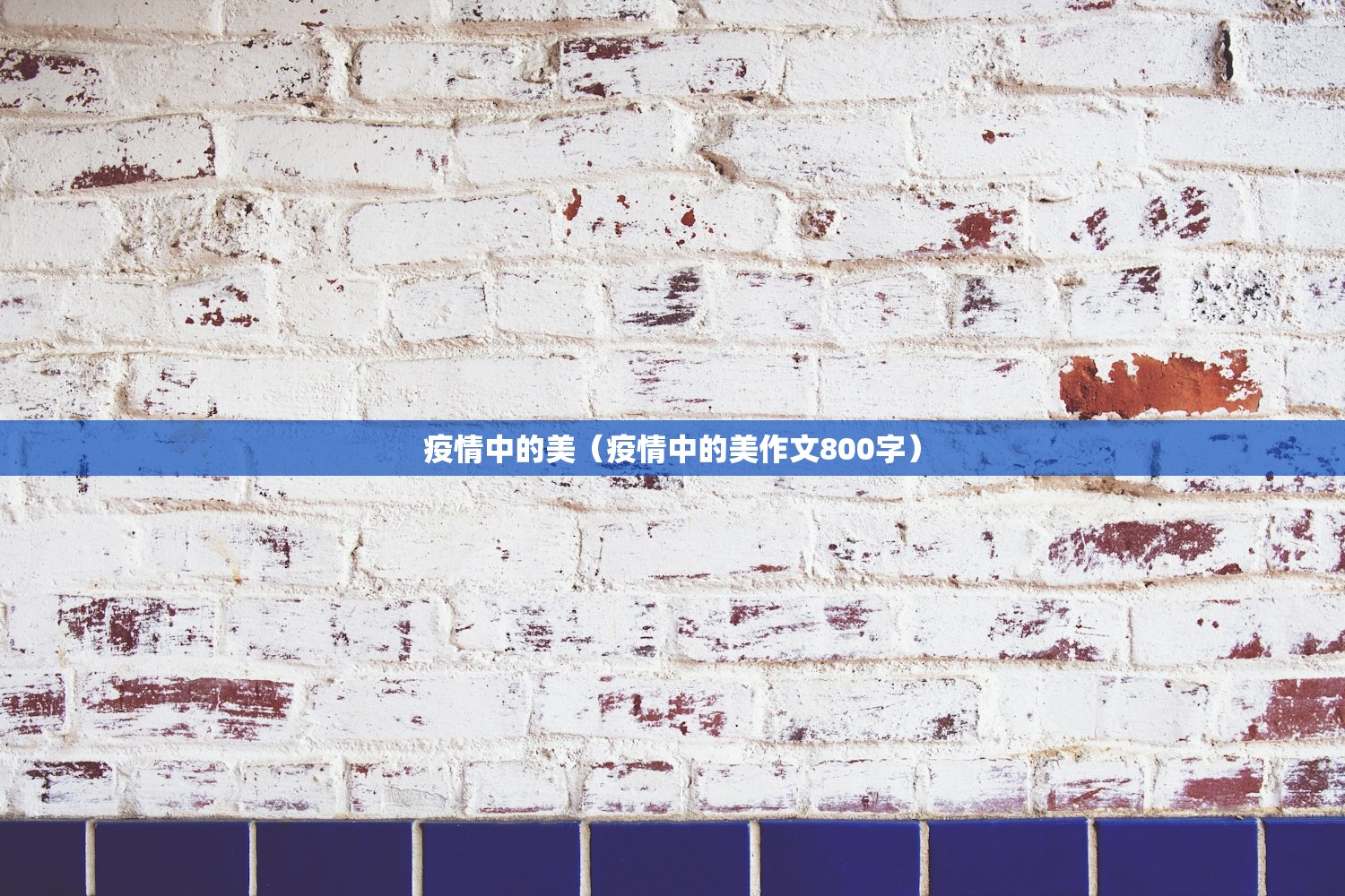 疫情中的美（疫情中的美作文800字）