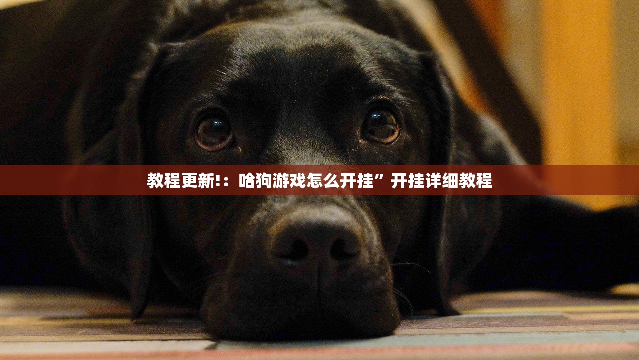 开挂技巧“微乐海南麻将专业神器”开挂辅助脚本+详细开挂安装教程