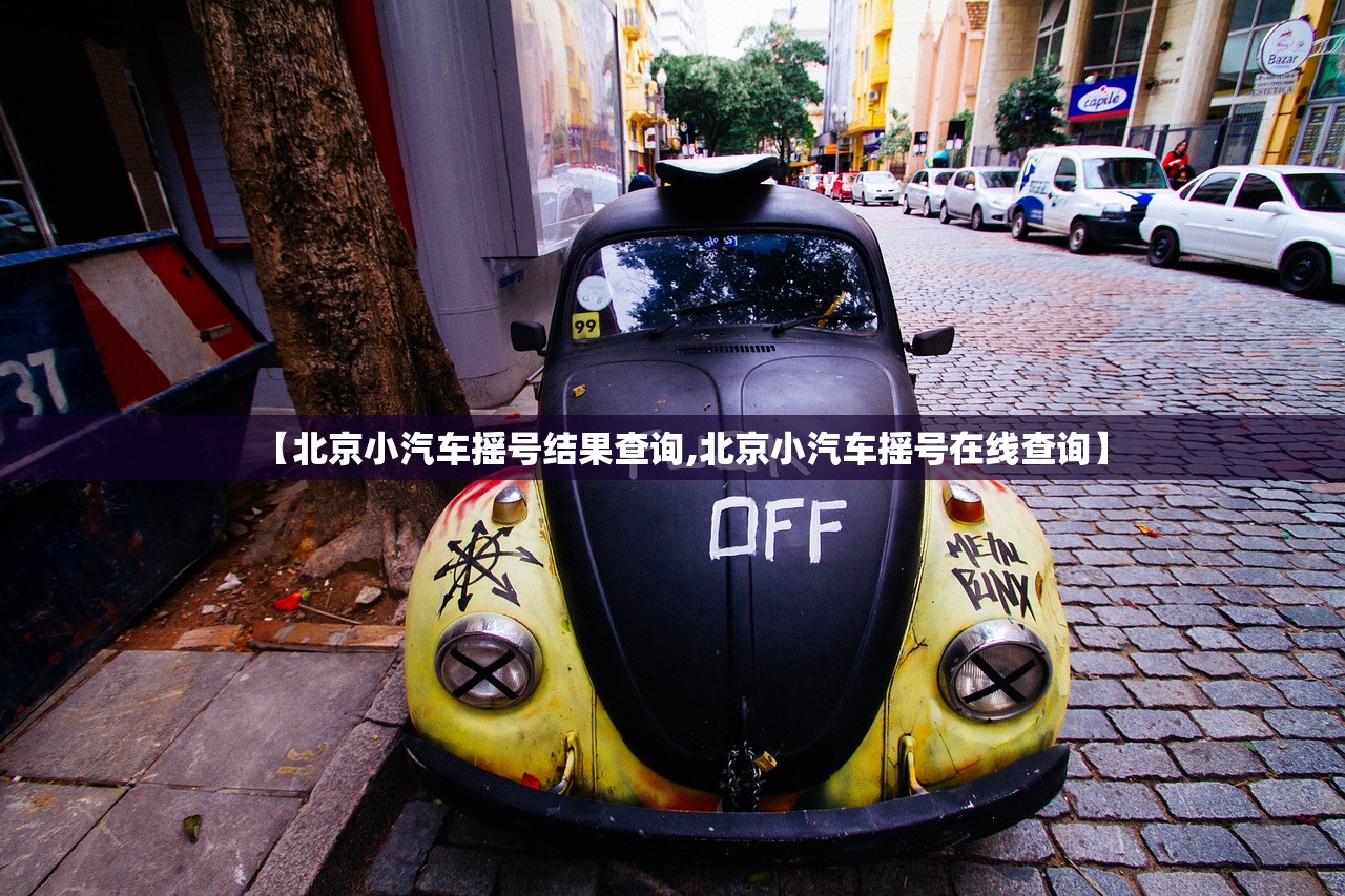 【北京小汽车摇号结果查询,北京小汽车摇号在线查询】