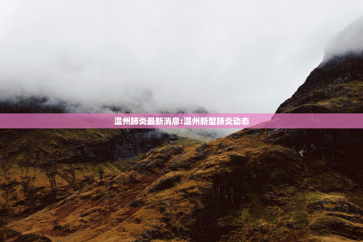 温州肺炎最新消息:温州新型肺炎动态