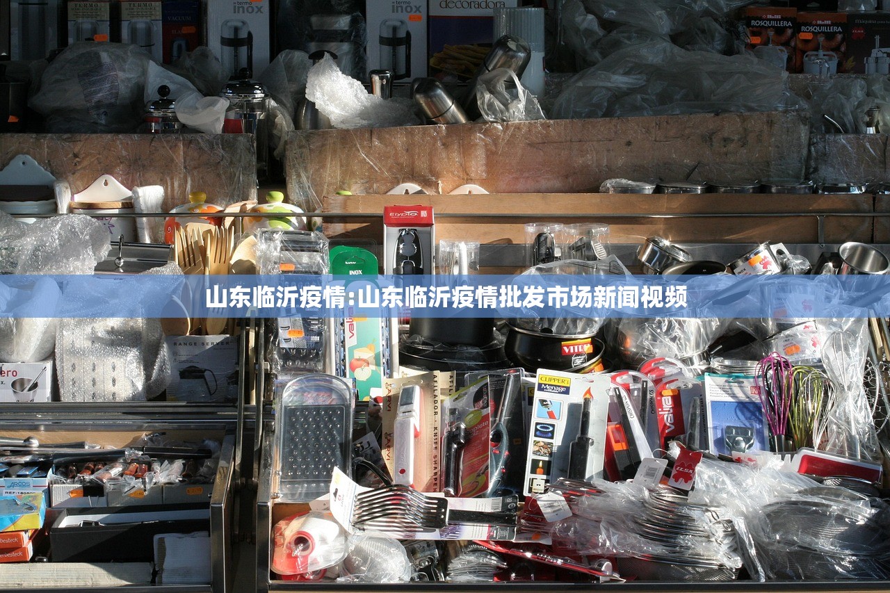 山东临沂疫情:山东临沂疫情批发市场新闻视频