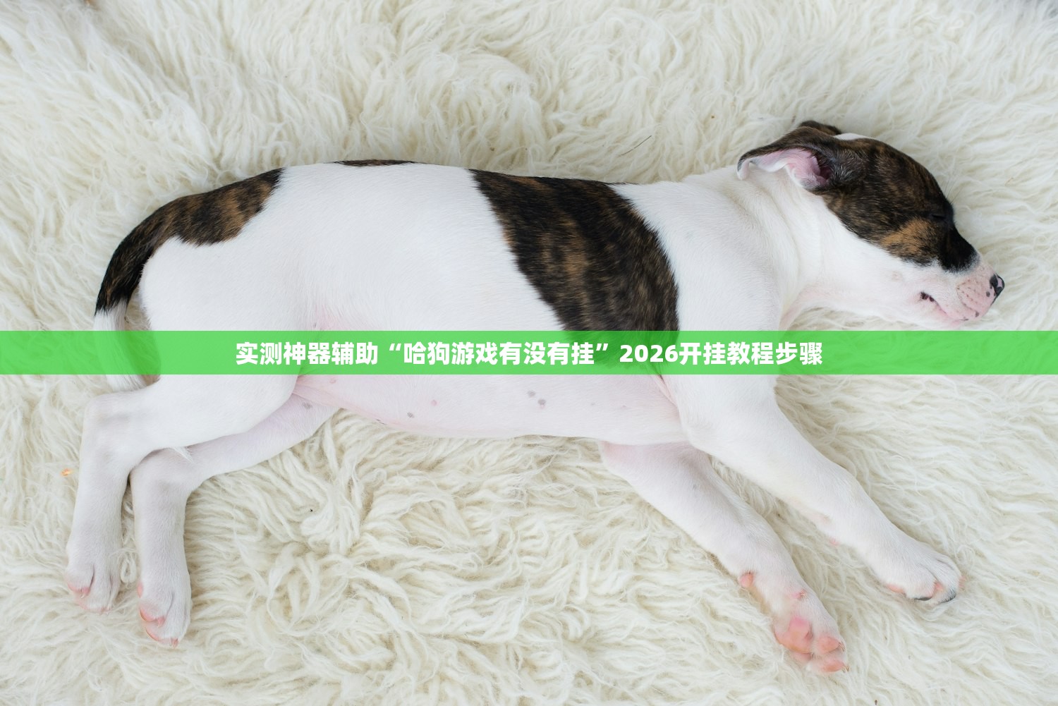 实测神器辅助“哈狗游戏有没有挂”2026开挂教程步骤
