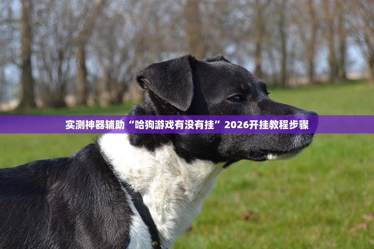 实测神器辅助“哈狗游戏有没有挂”2026开挂教程步骤