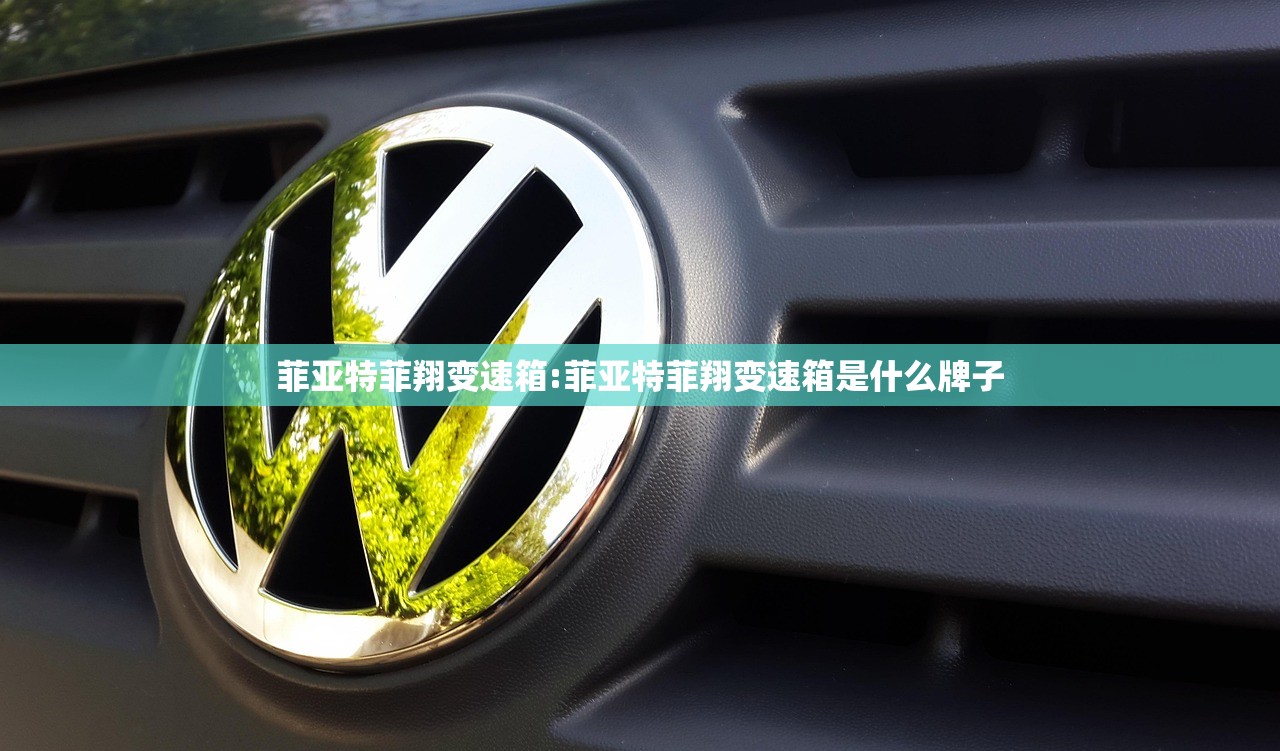 菲亚特菲翔变速箱:菲亚特菲翔变速箱是什么牌子