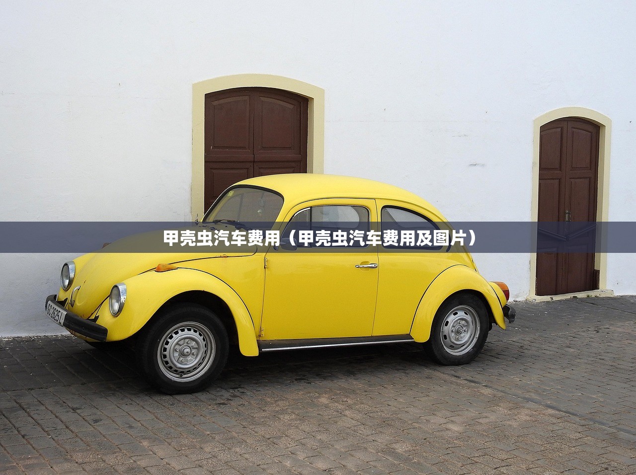 甲壳虫汽车费用（甲壳虫汽车费用及图片）