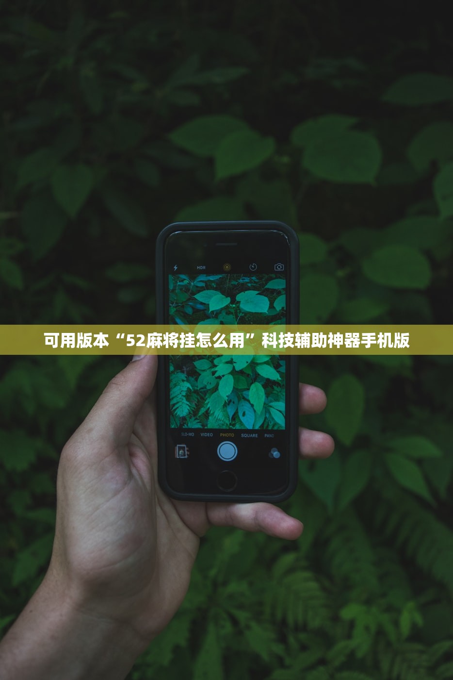 助赢神器“手机金花挂在哪买”详细开挂教程