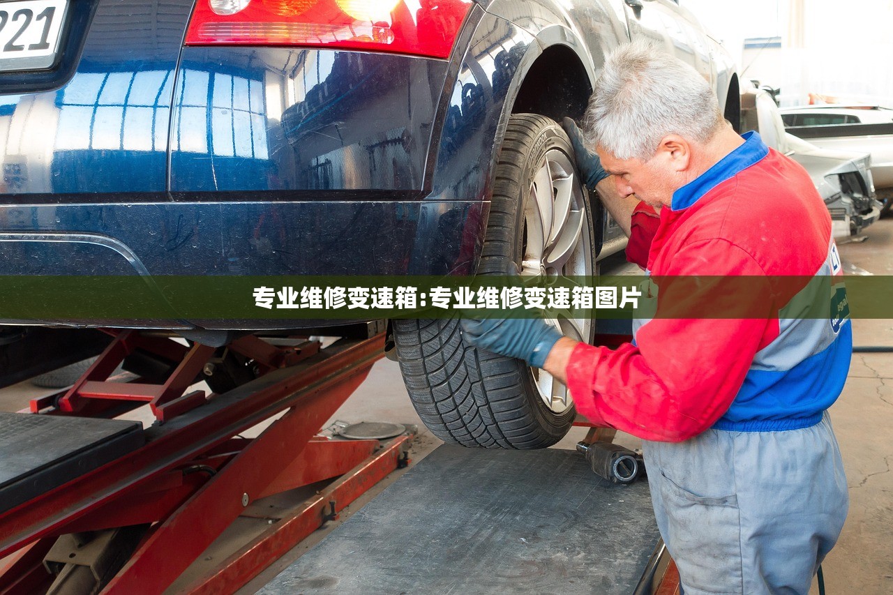 专业维修变速箱:专业维修变速箱图片