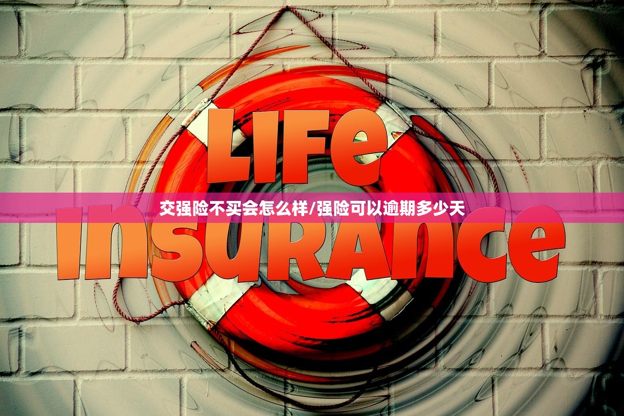 交强险不买会怎么样/强险可以逾期多少天