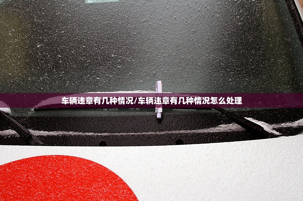 车辆违章有几种情况/车辆违章有几种情况怎么处理