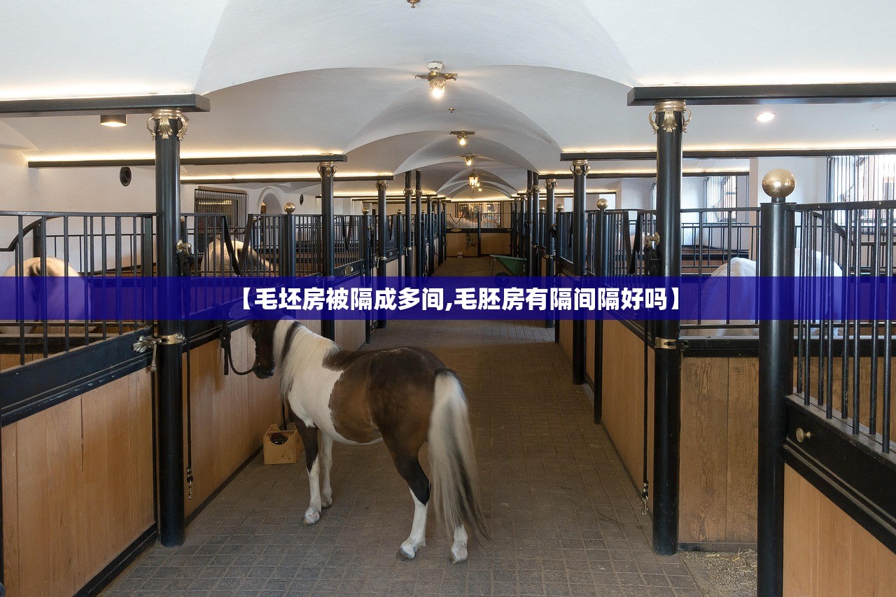 【毛坯房被隔成多间,毛胚房有隔间隔好吗】