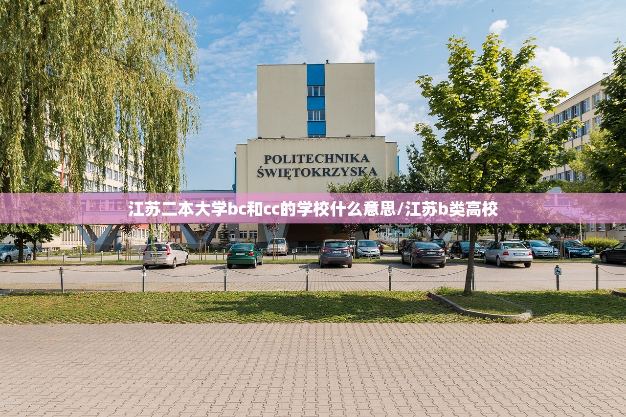 江苏二本大学bc和cc的学校什么意思/江苏b类高校