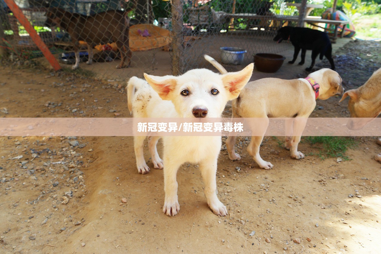 新冠变异/新冠变异毒株