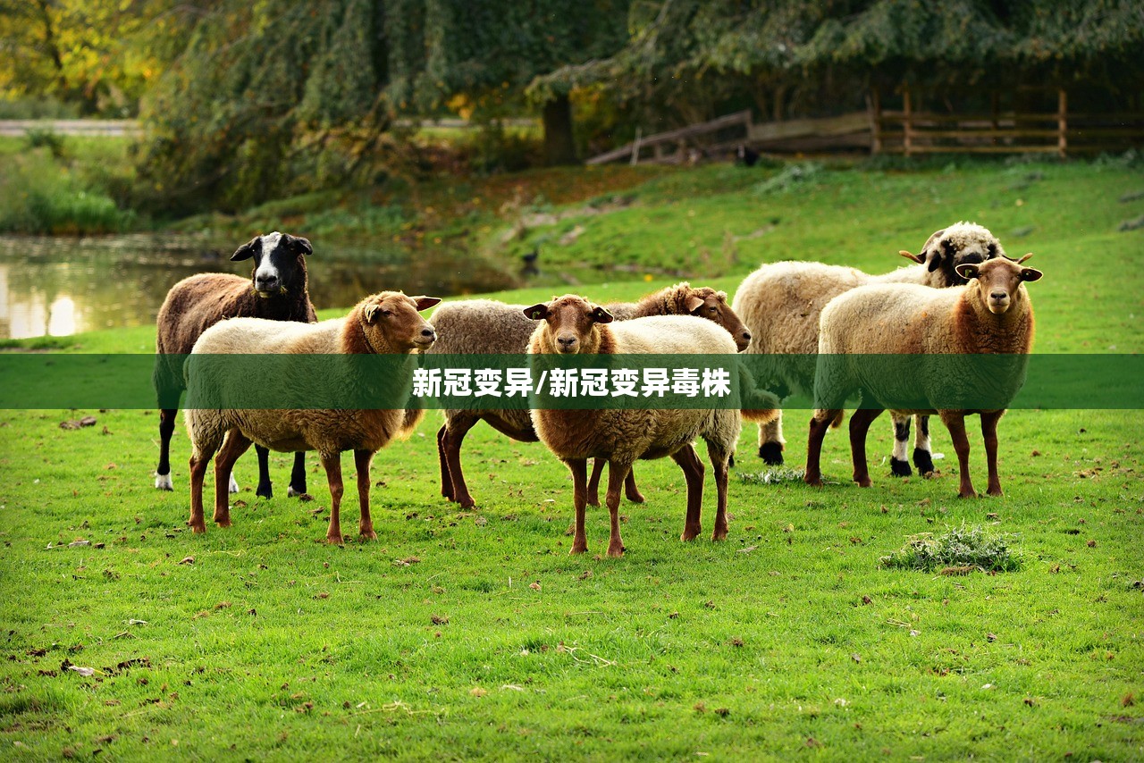 新冠变异/新冠变异毒株