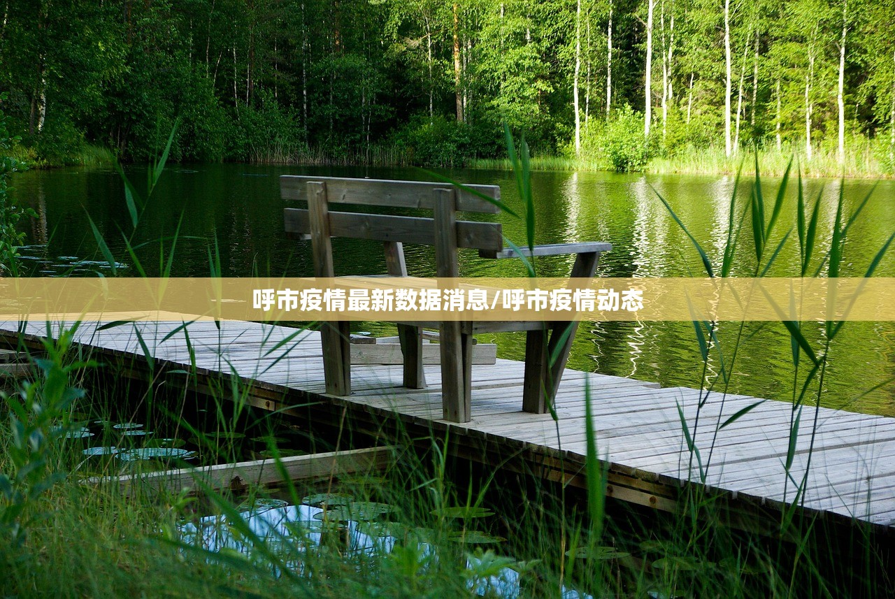 呼市疫情最新数据消息/呼市疫情动态