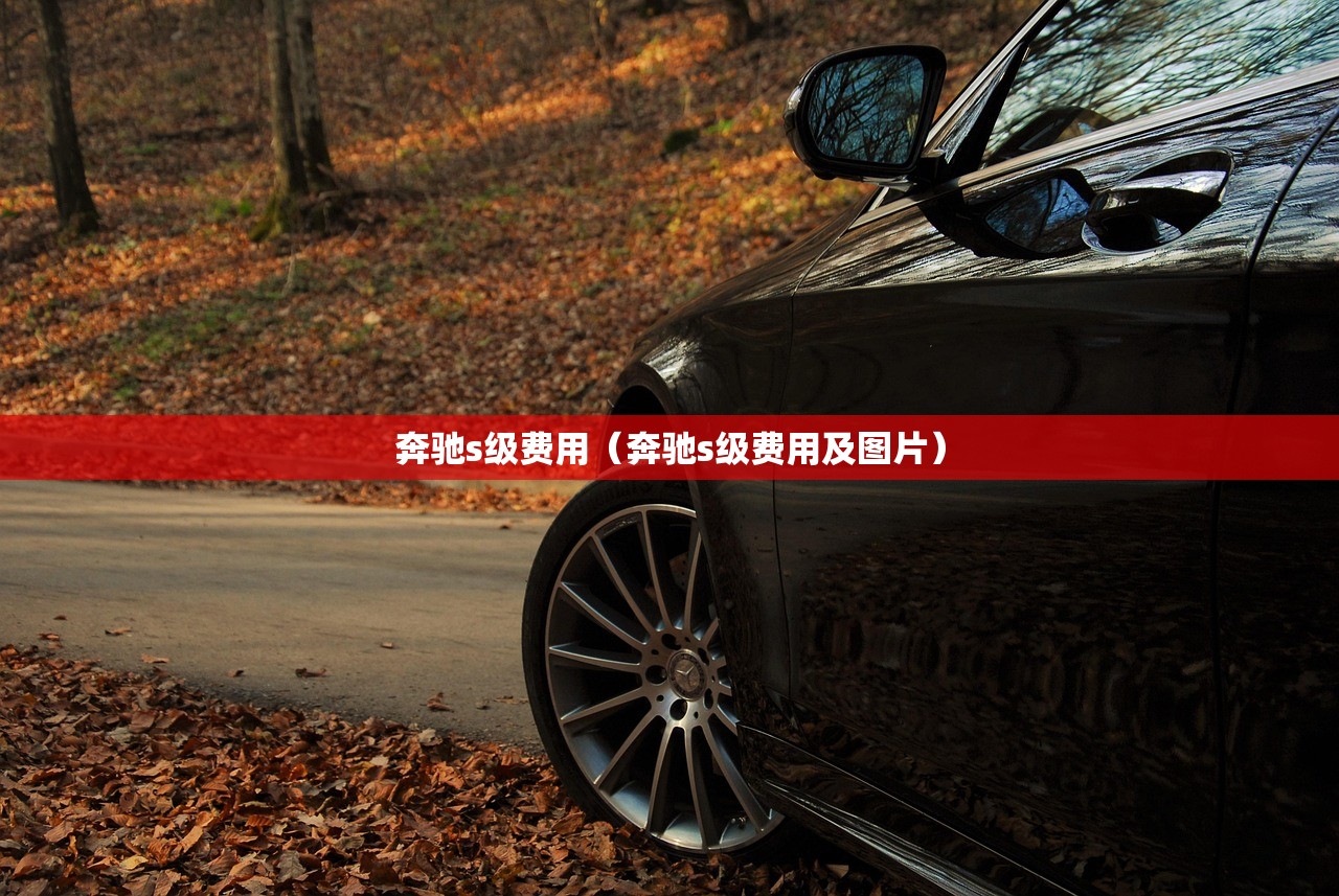 奔驰s级费用(奔驰s级费用及图片) 奔驰s级费用(奔驰s级费用及图片)