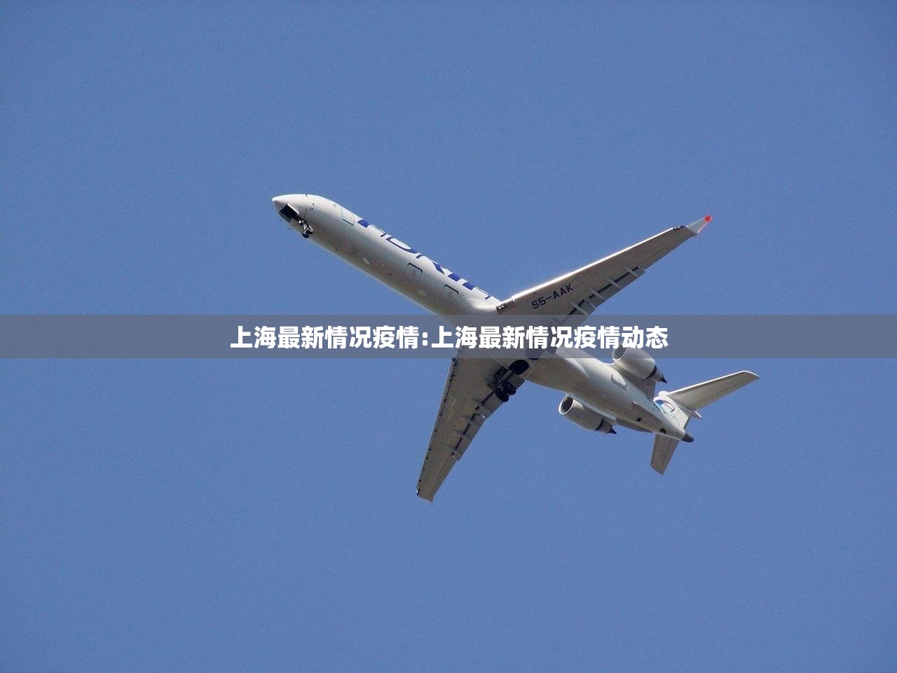 上海最新情况疫情:上海最新情况疫情动态