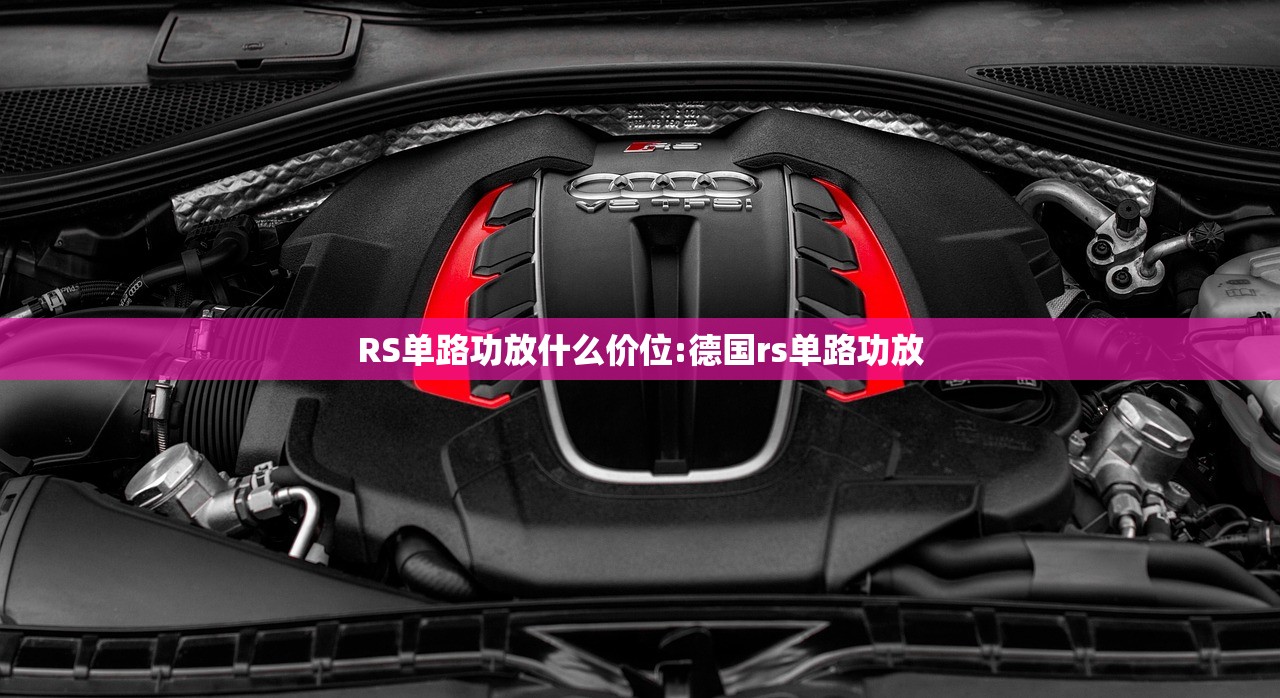 RS单路功放什么价位:德国rs单路功放