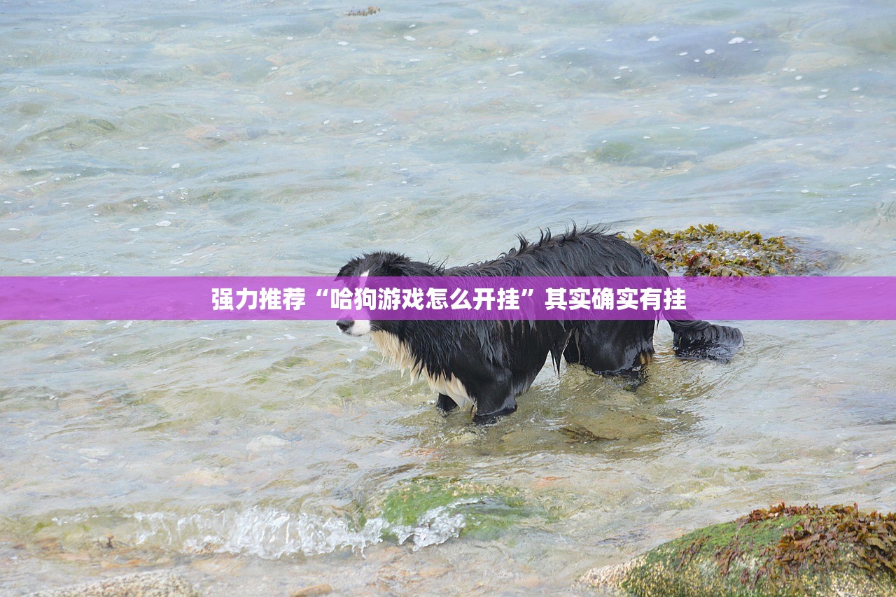 强力推荐“哈狗游戏怎么开挂”其实确实有挂