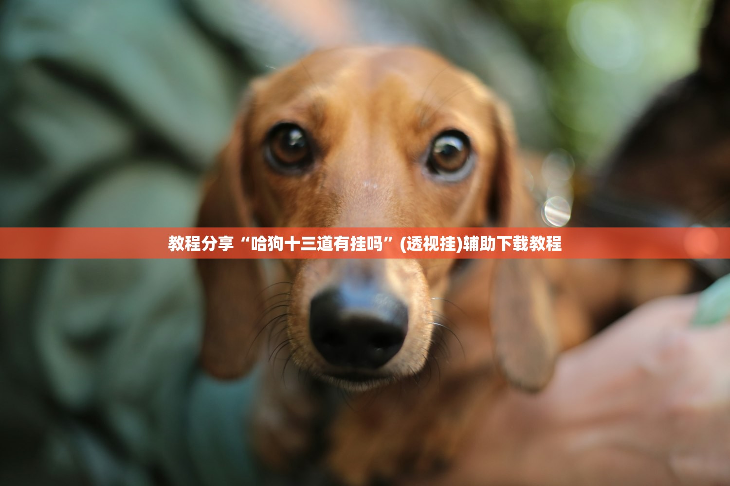 【上海封控最新政策,上海封没封】