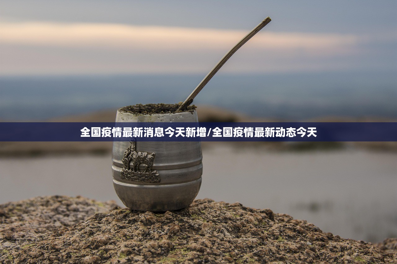 全国疫情最新消息今天新增/全国疫情最新动态今天