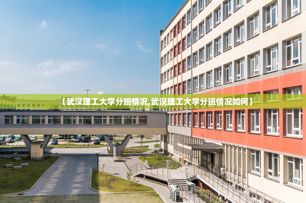 【武汉理工大学分班情况,武汉理工大学分班情况如何】