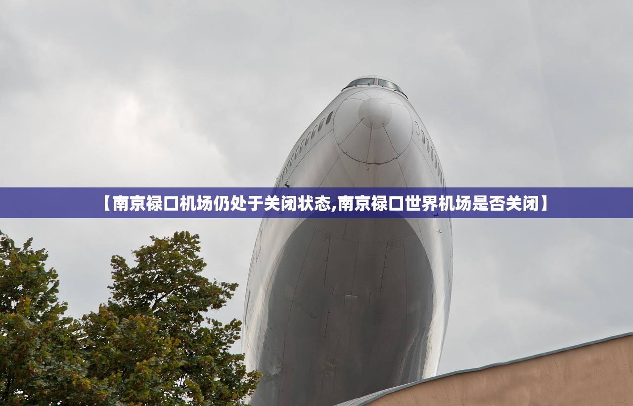 【南京禄口机场仍处于关闭状态,南京禄口世界机场是否关闭】
