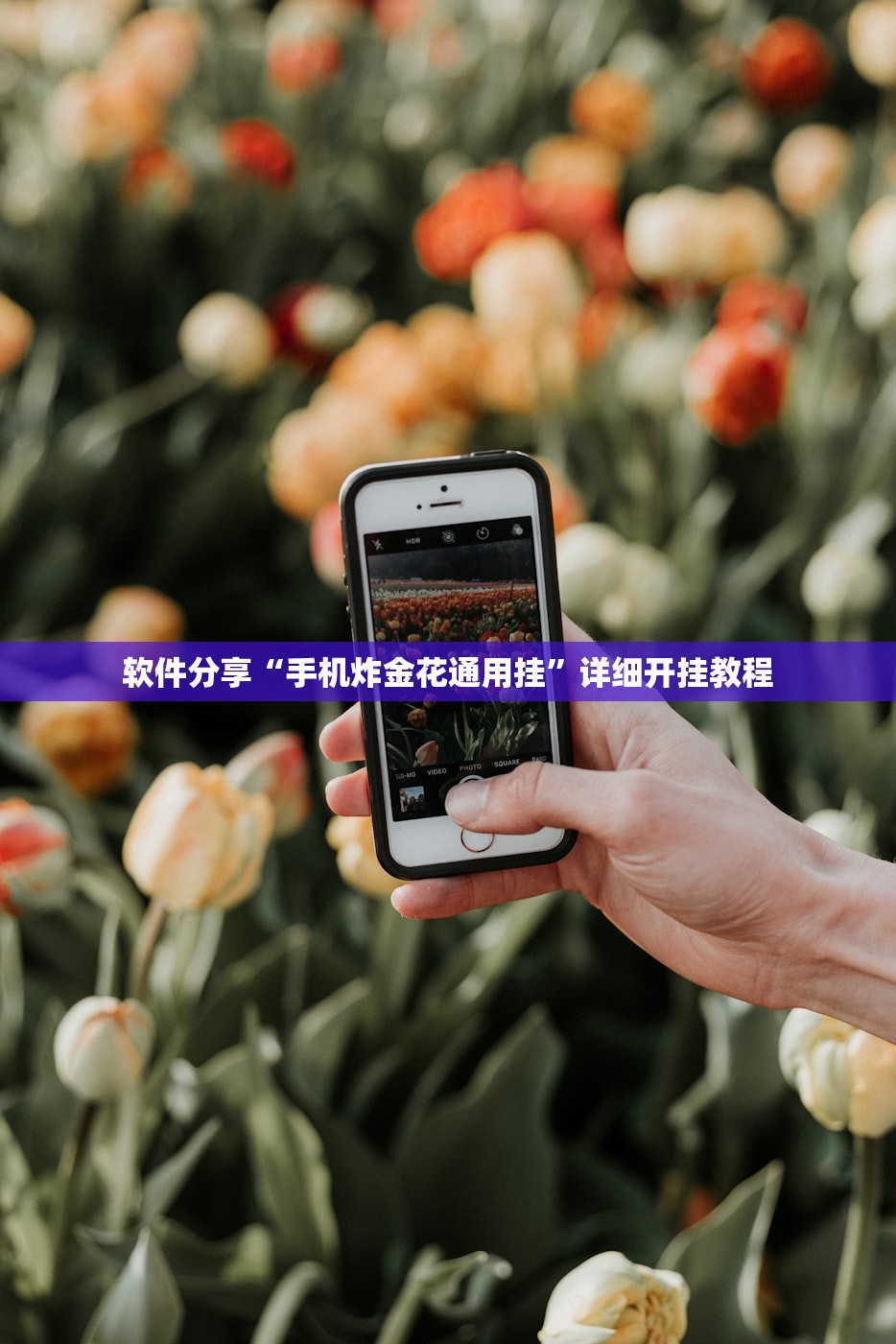 软件分享“手机炸金花通用挂”详细开挂教程