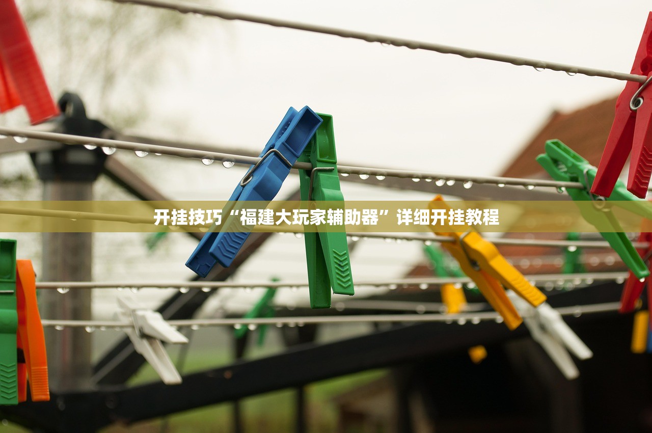 开挂技巧“福建大玩家辅助器”详细开挂教程