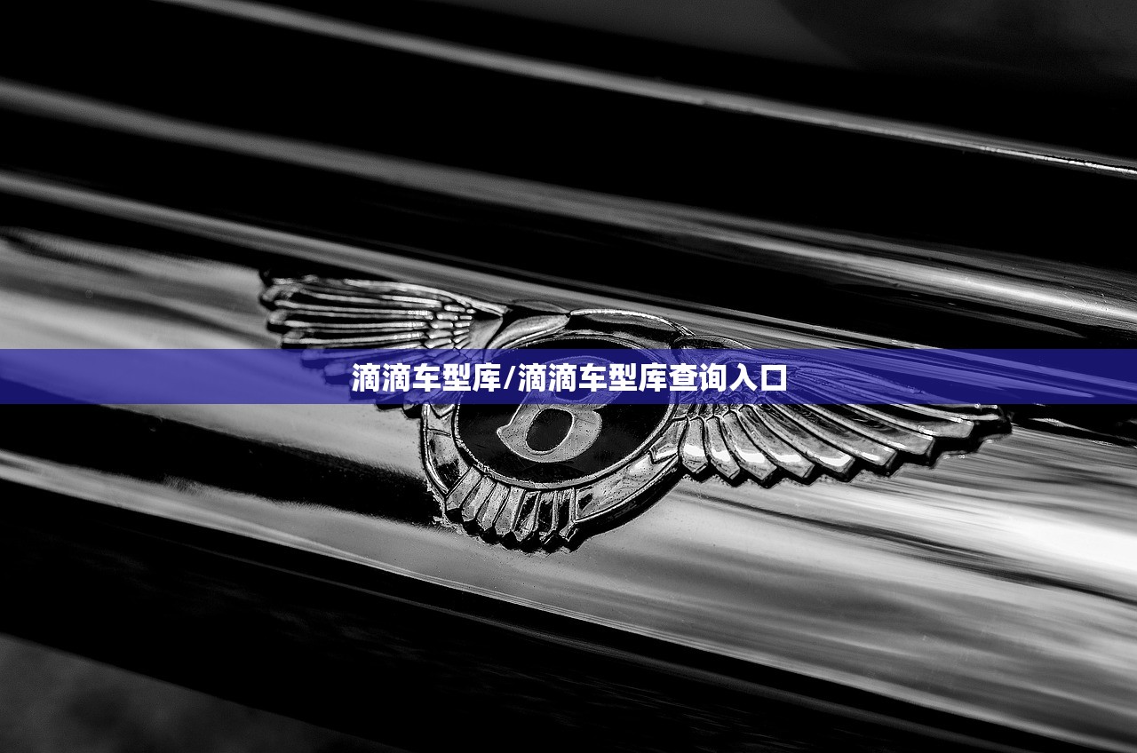 滴滴车型库/滴滴车型库查询入口 滴滴车型库/滴滴车型库查询入口