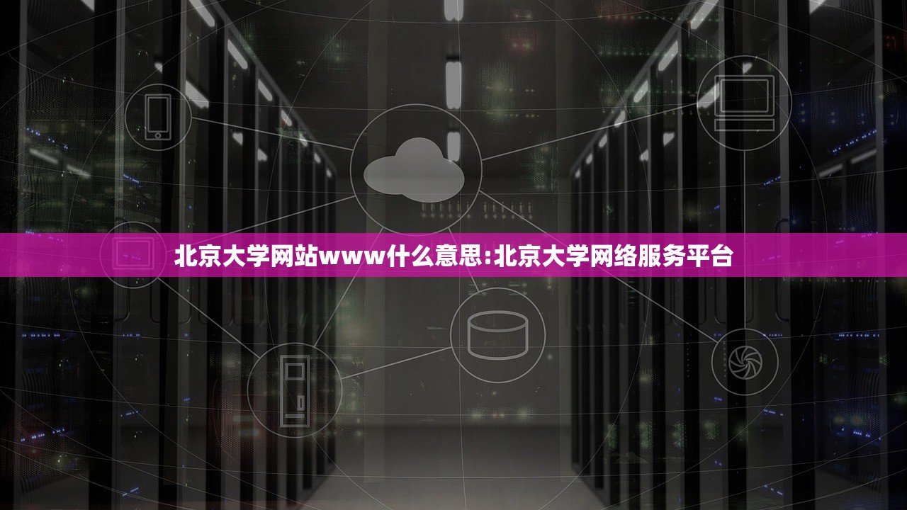 北京大学网站www什么意思:北京大学网络服务平台