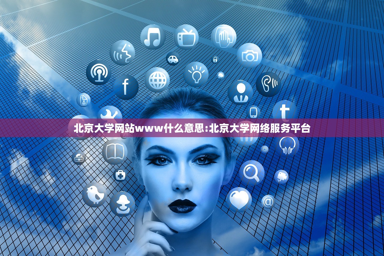 北京大学网站www什么意思:北京大学网络服务平台