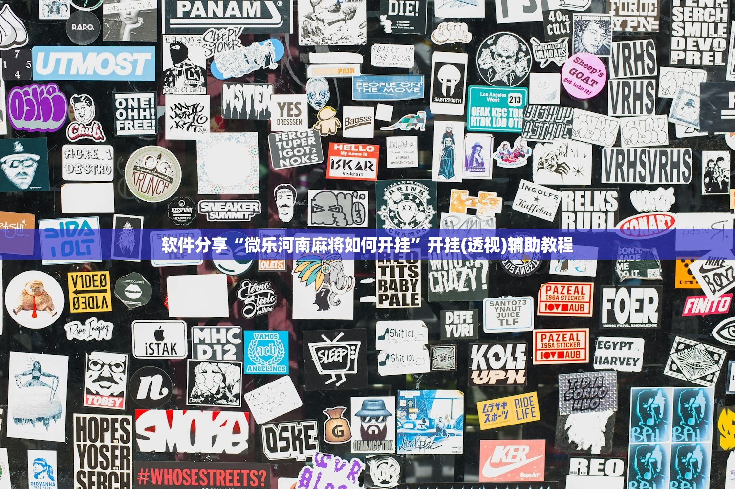 教程分享“多乐跑胡子免费开挂”详细分享装挂步骤