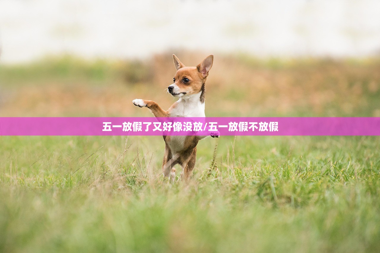 五一放假了又好像没放/五一放假不放假