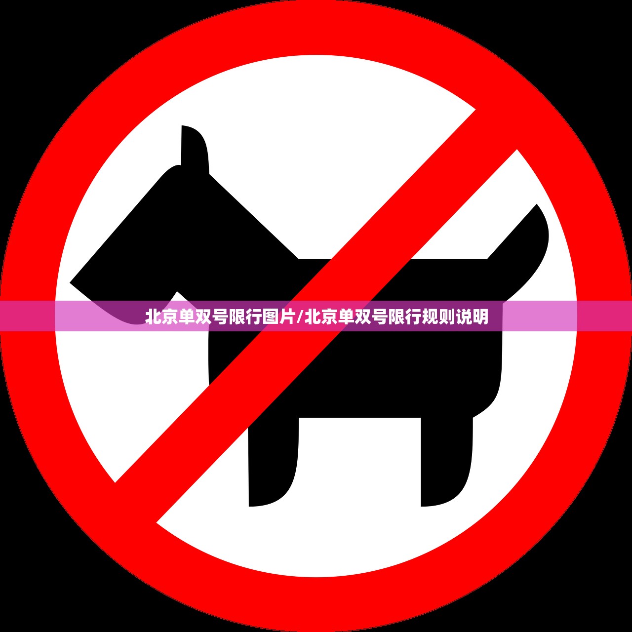 北京单双号限行图片/北京单双号限行规则说明