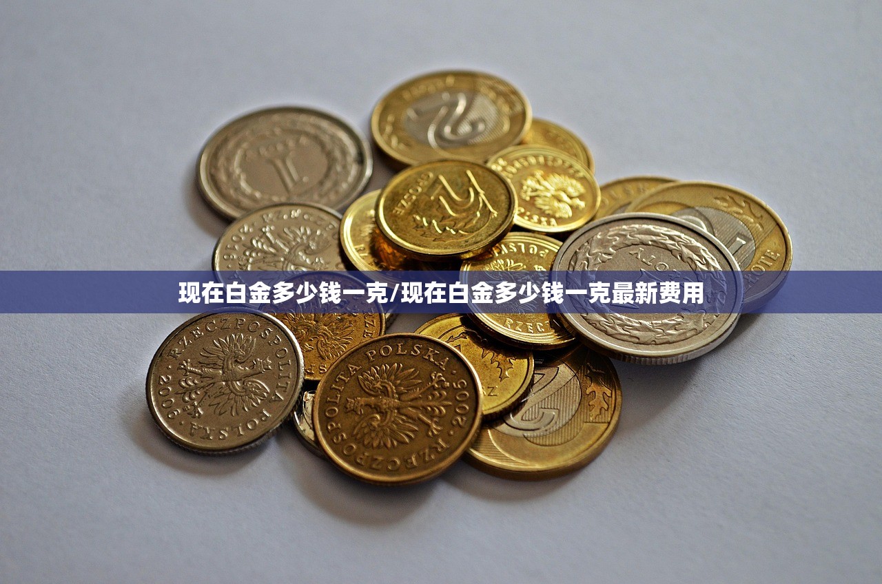 现在白金多少钱一克/现在白金多少钱一克最新费用 现在白金多少钱一克/现在白金多少钱一克最新费用