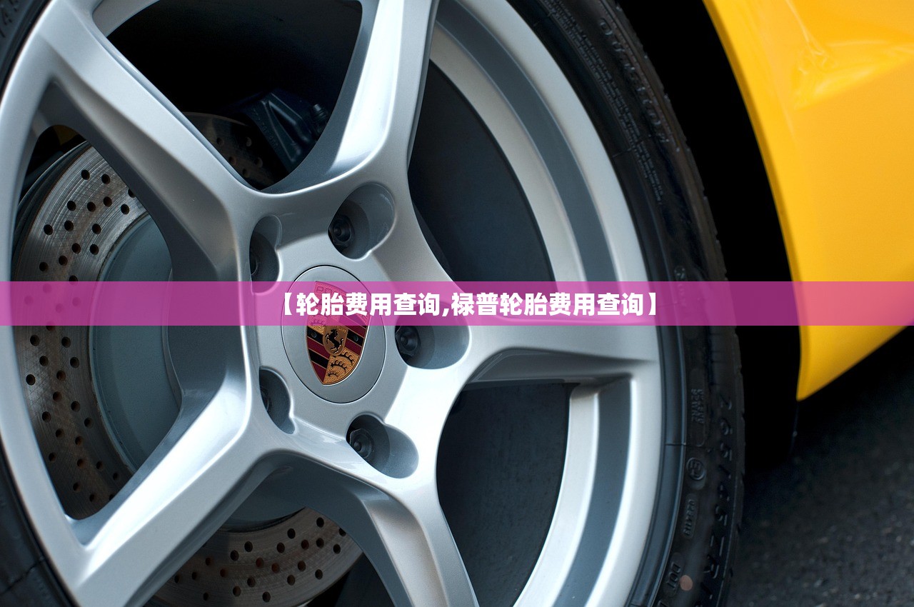 【轮胎费用查询,禄普轮胎费用查询】