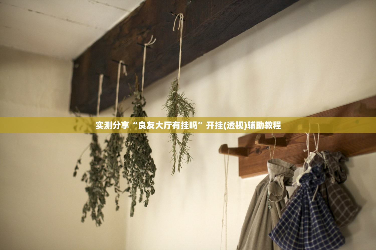 教程辅助!棋牌挂先试用后付款”科技辅助神器手机版