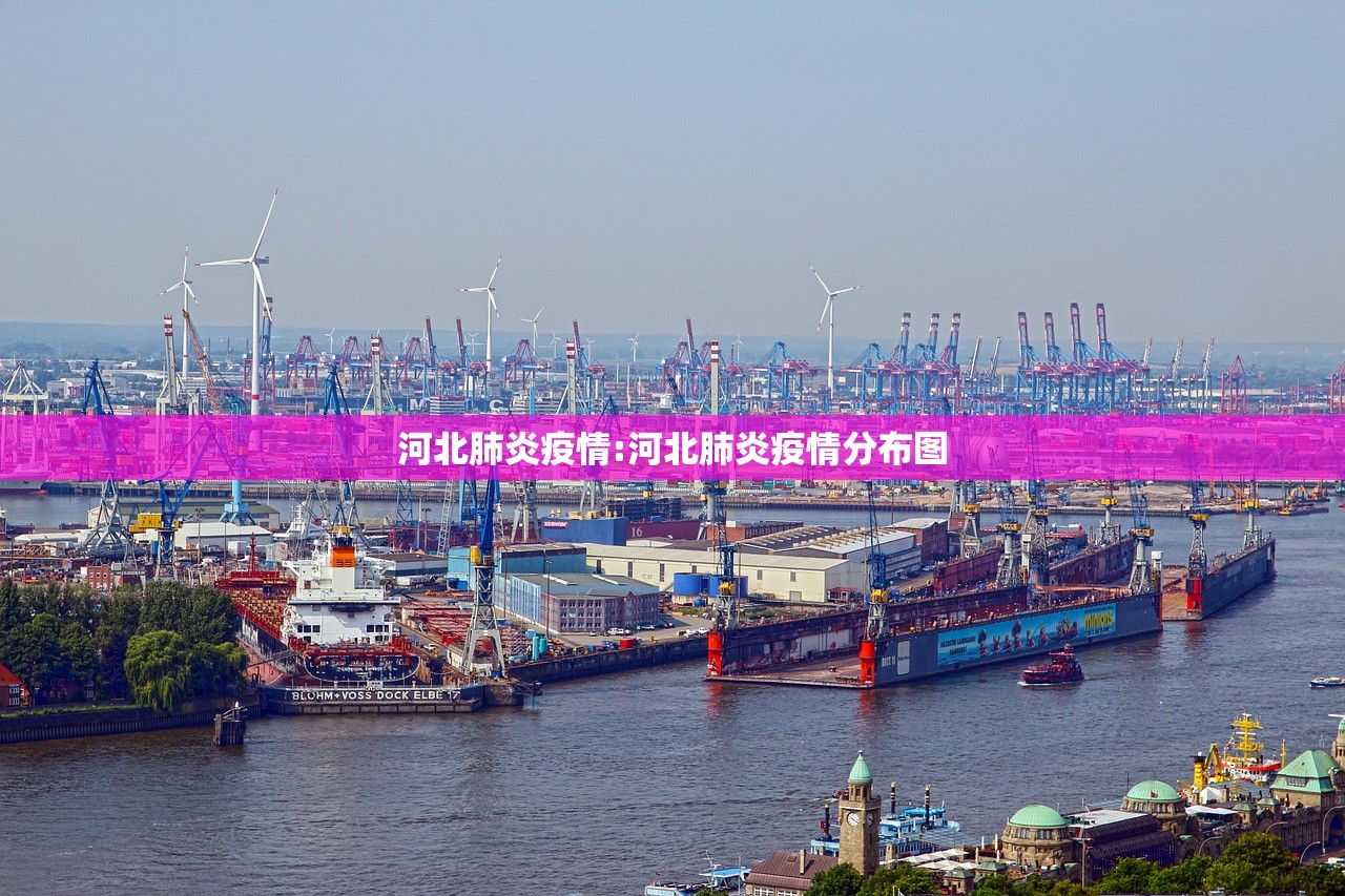 河北肺炎疫情:河北肺炎疫情分布图