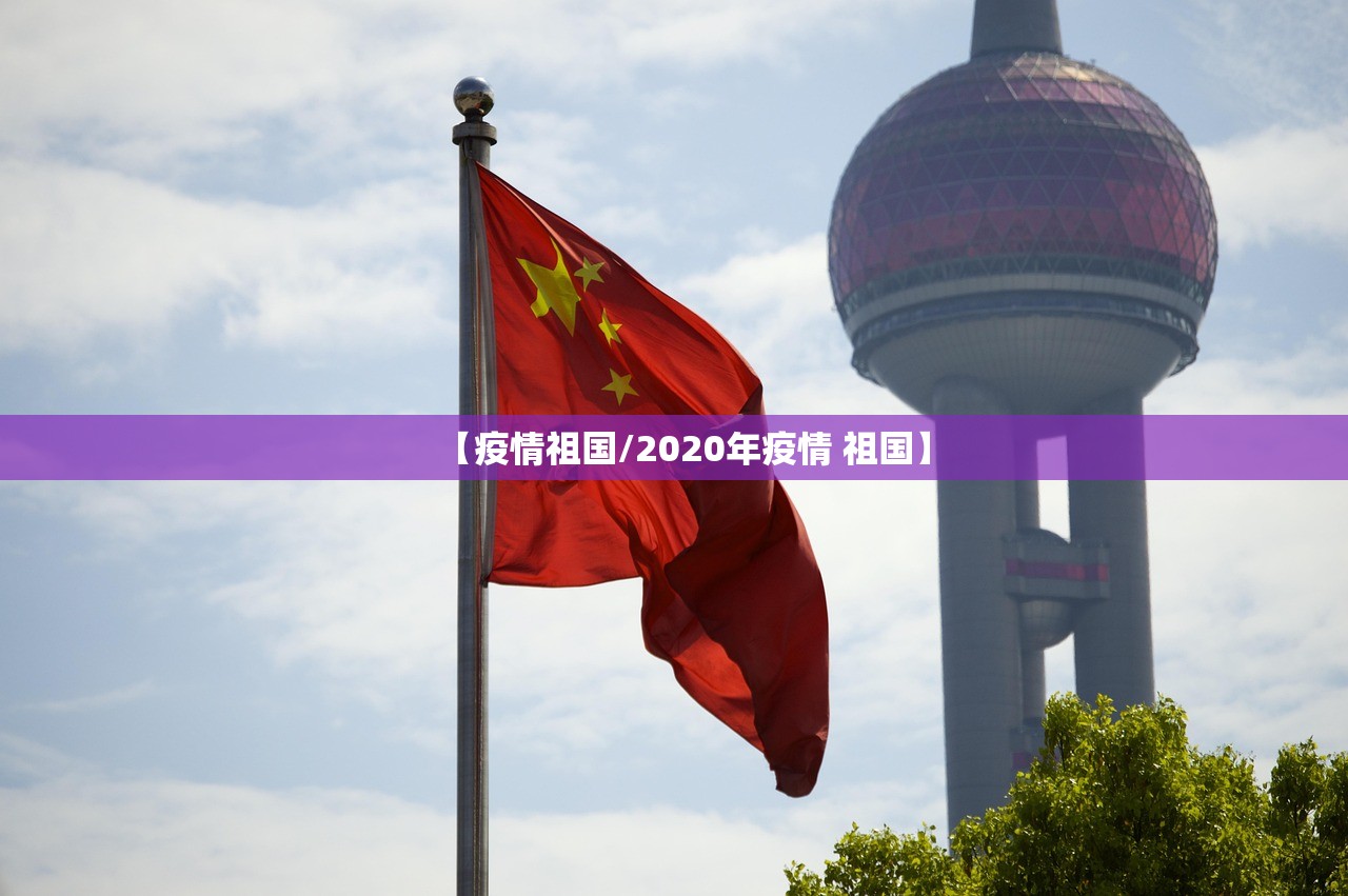 【疫情祖国/2020年疫情 祖国】